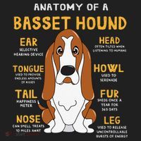 Basset Hound Anatomy Funny Dog Mom Dad Cute Gift Women's Sweatshirt thumb 2
