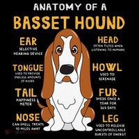 Basset Hound Anatomy Funny Dog Mom Dad Cute Gift Coffee Mug thumb 5