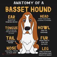Basset Hound Anatomy Funny Dog Mom Dad Cute Gift Toddler Hoodie thumb 2