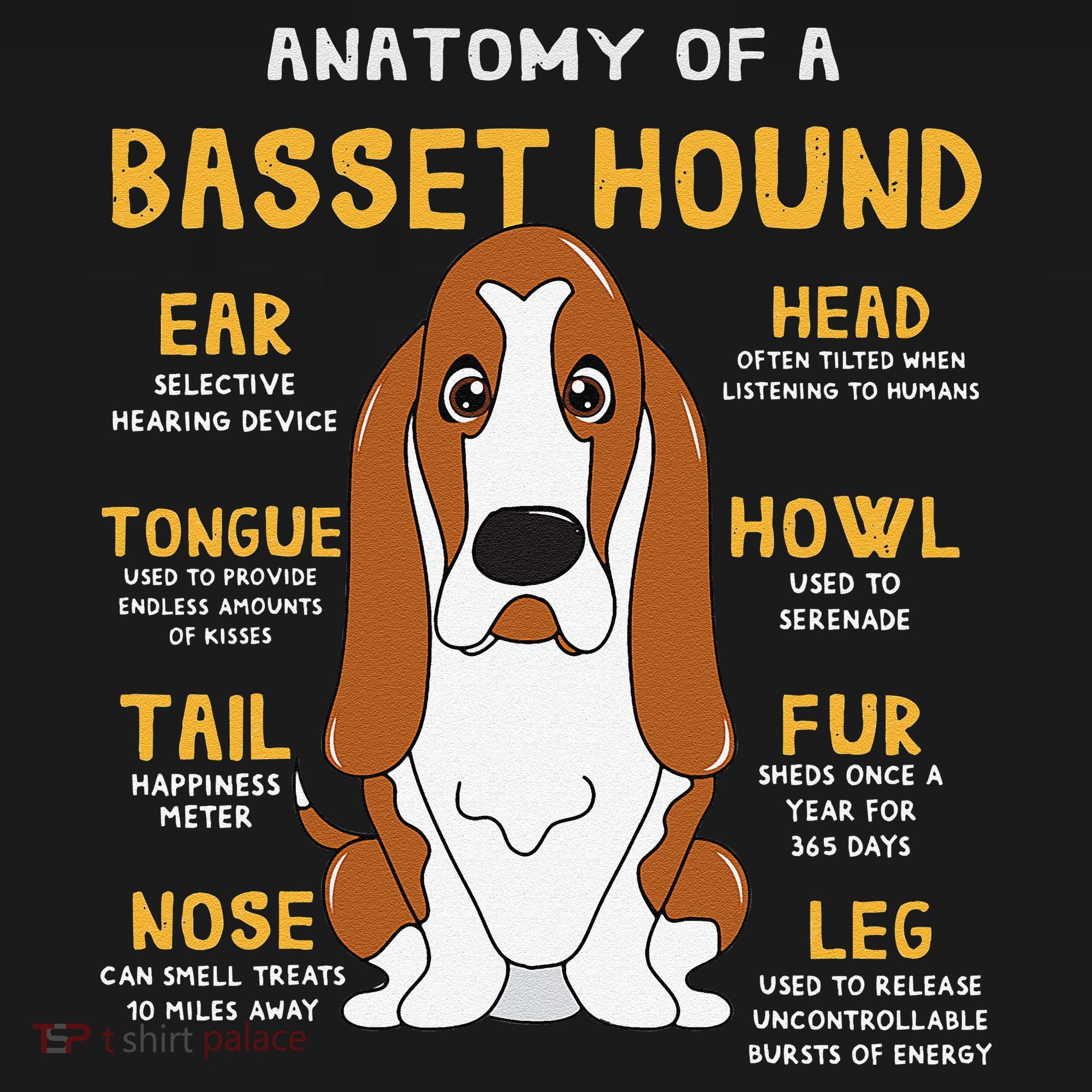 Basset Hound Anatomy Funny Dog Mom Dad Cute Gift Kids Sweatshirt