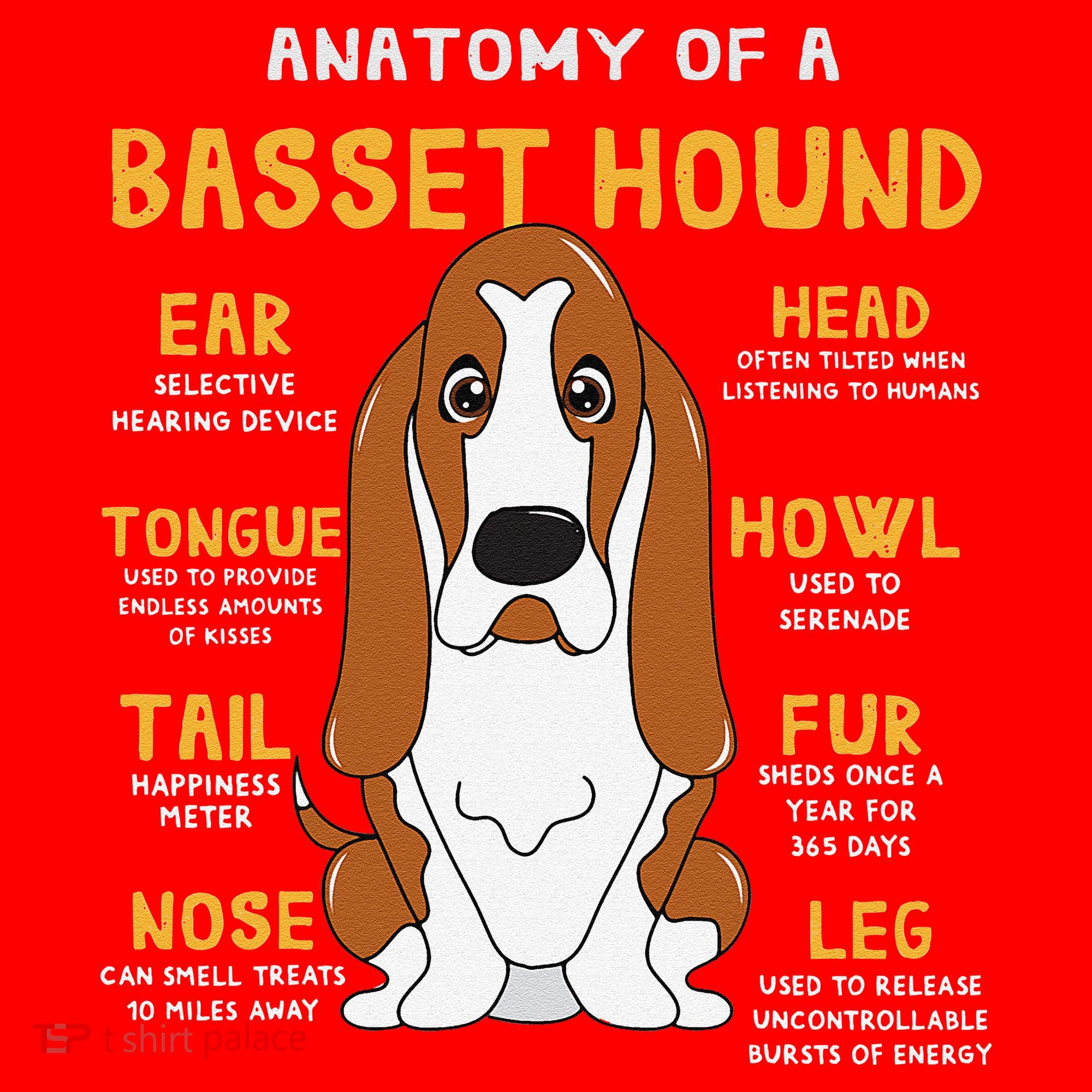 Basset Hound Anatomy Funny Dog Mom Dad Cute Gift Santa Hat