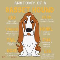 Basset Hound Anatomy Funny Dog Mom Dad Cute Gift Long Sleeve Shirt thumb 2