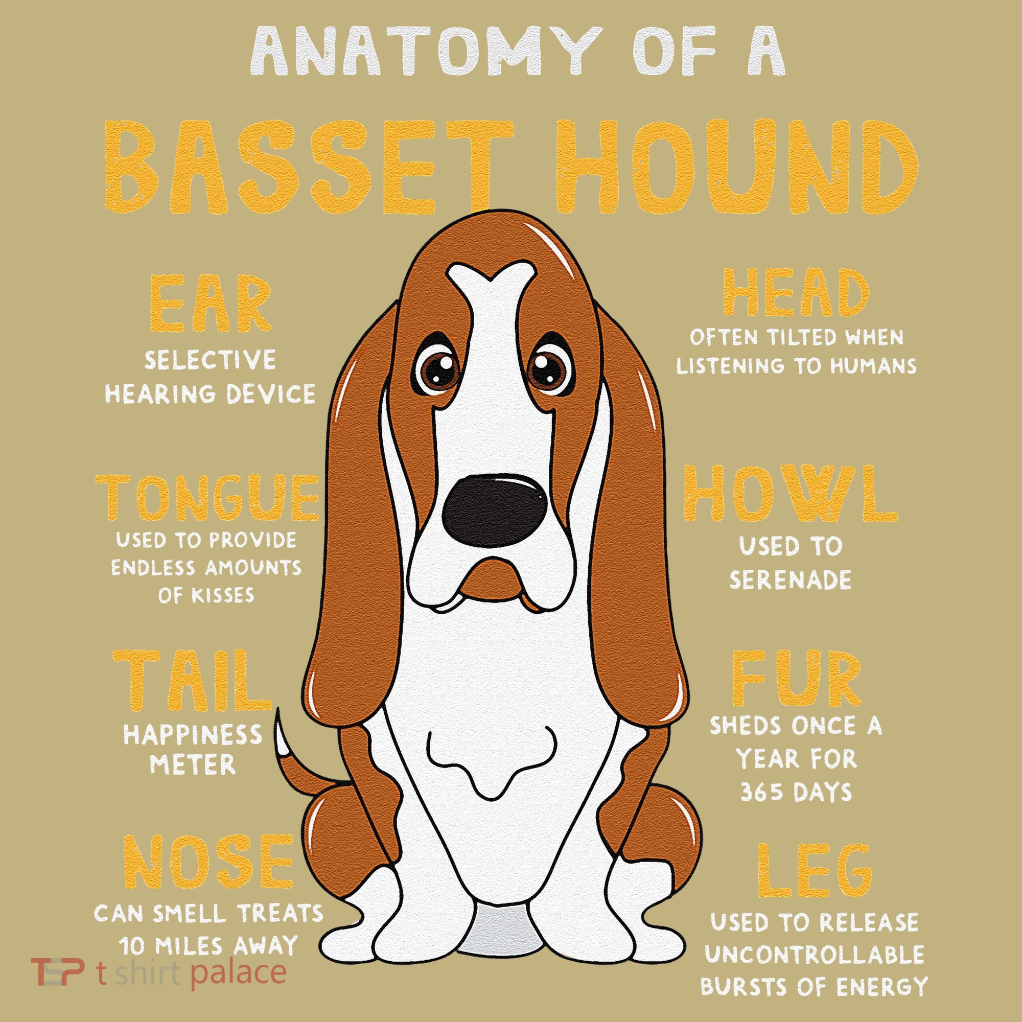 Basset Hound Anatomy Funny Dog Mom Dad Cute Gift Kids T-Shirt
