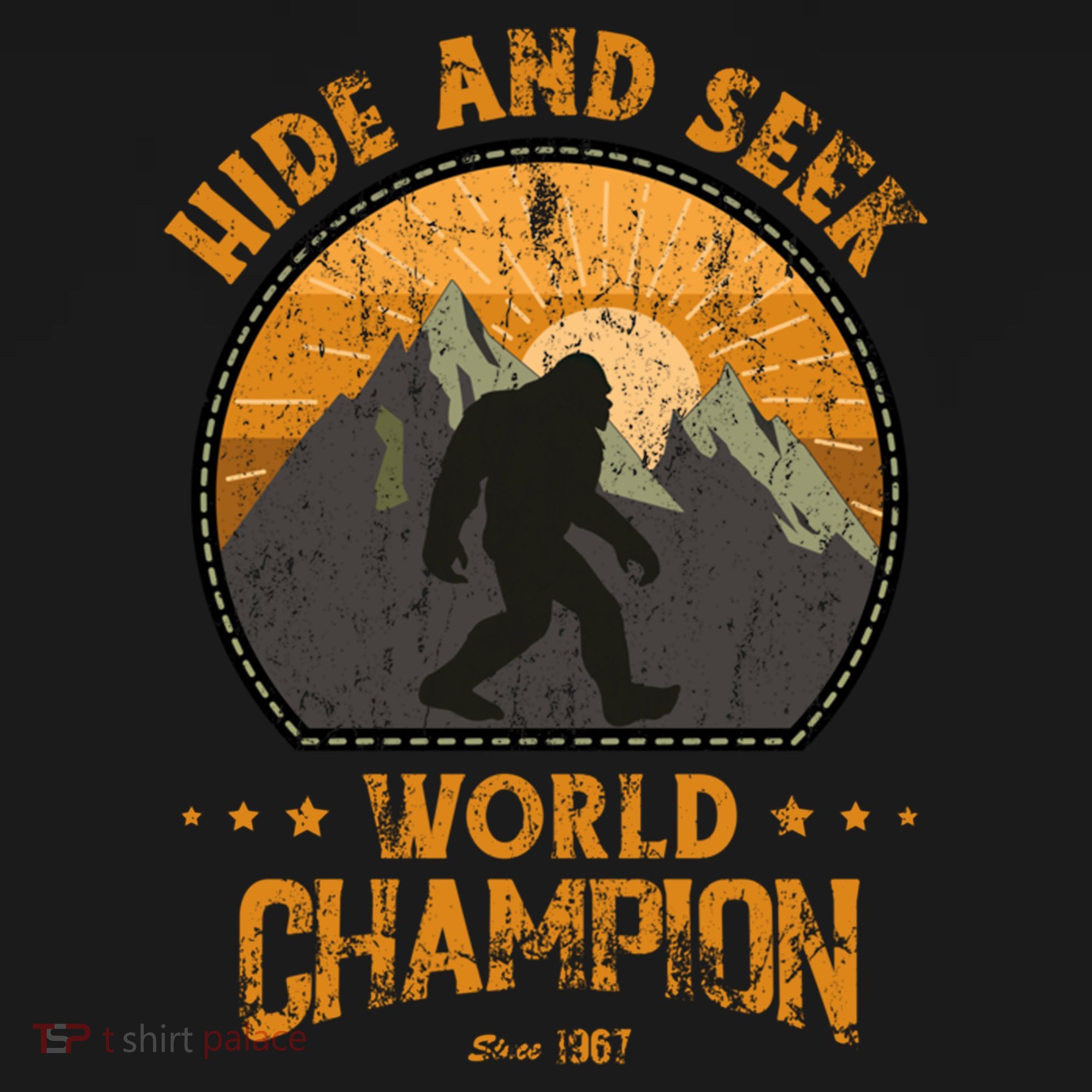 Bigfoogift Hide And Seek Bigfoot Hide And Seek Champion Cool Gift Women's Hoodie