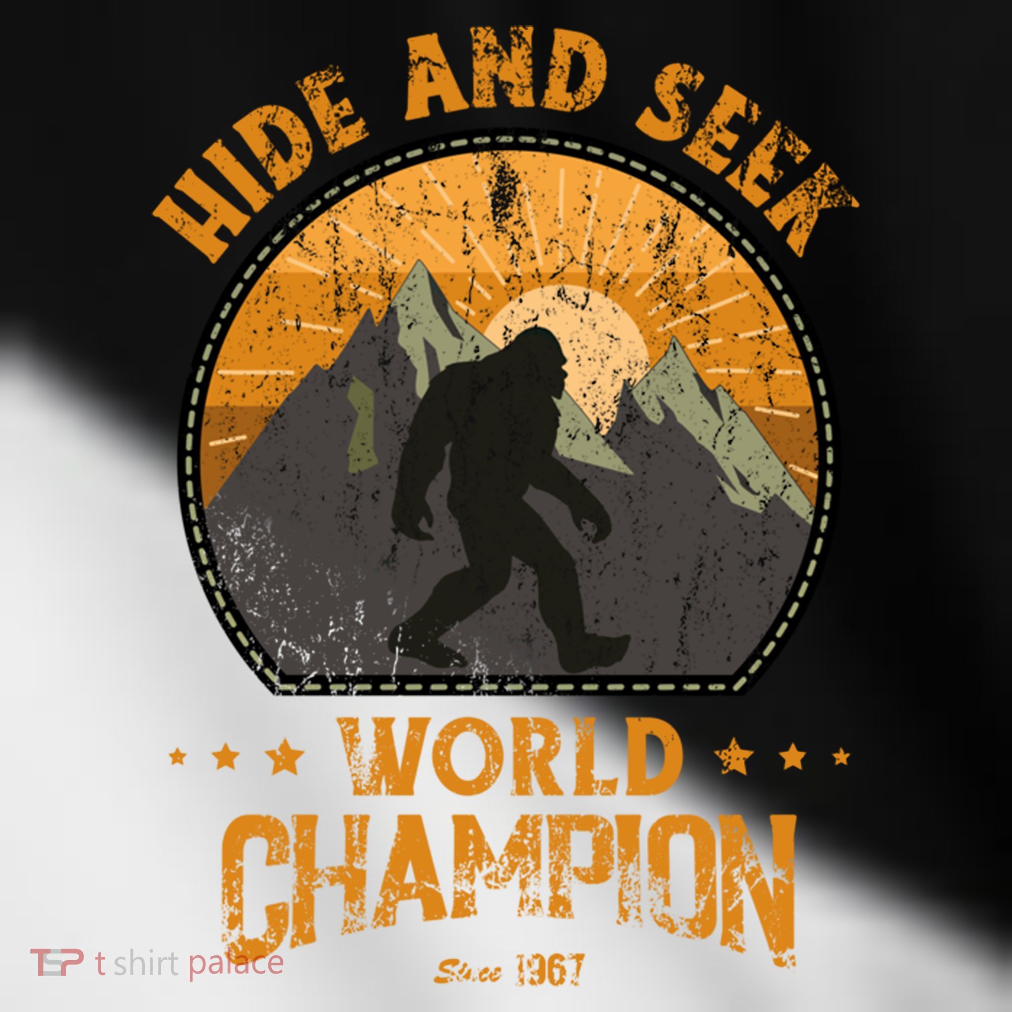 Bigfoogift Hide And Seek Bigfoot Hide And Seek Champion Cool Gift Toddler Fine Jersey T-Shirt