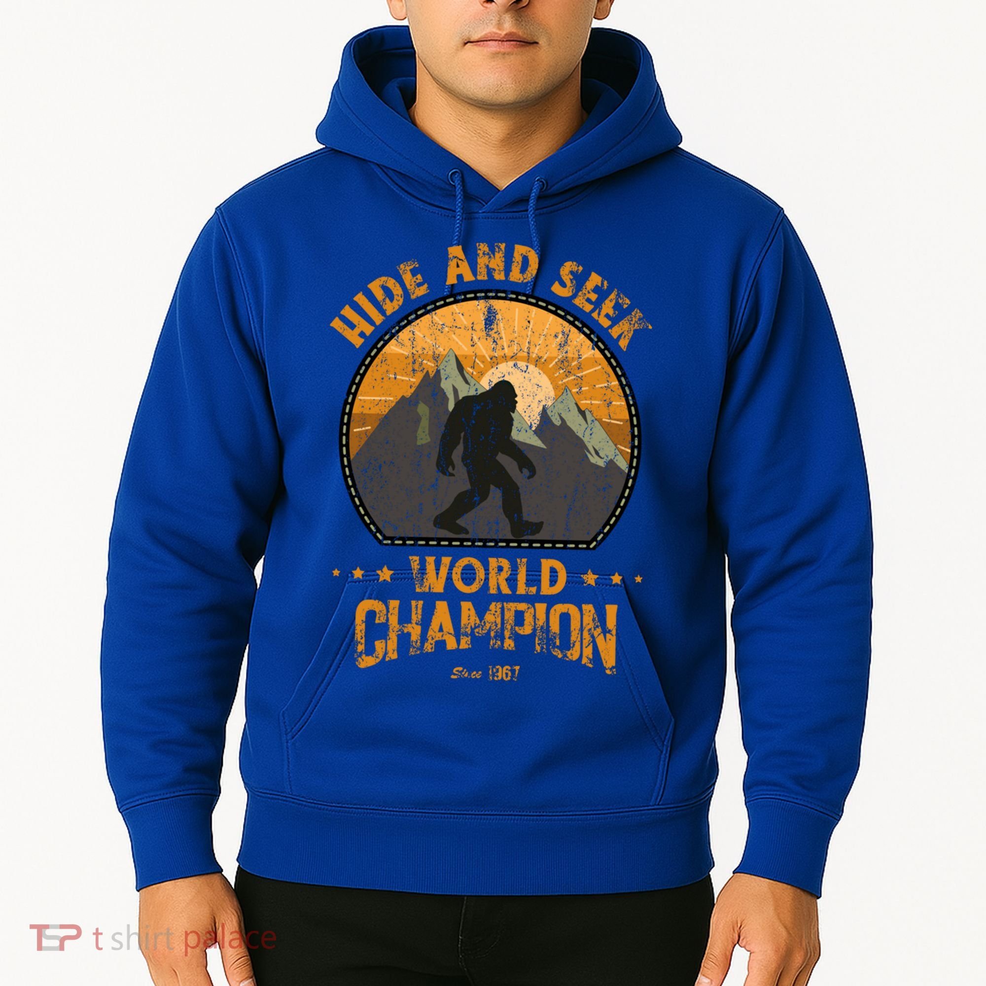Bigfoogift Hide And Seek Bigfoot Hide And Seek Champion Cool Gift Hoodie