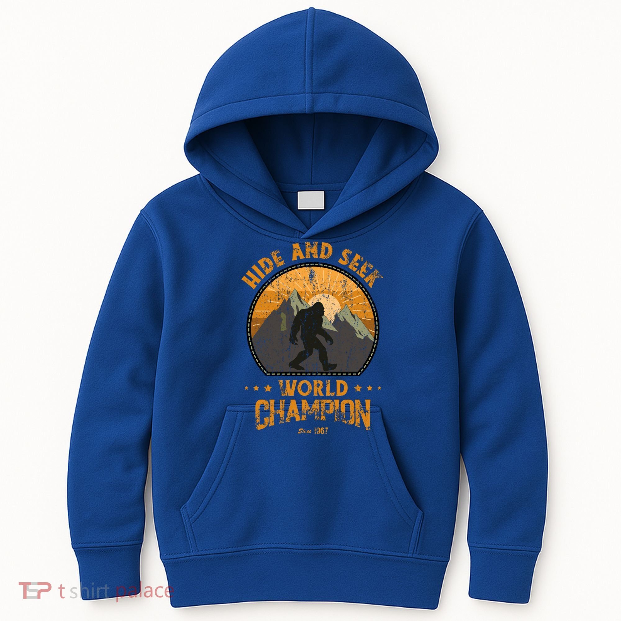 Bigfoogift Hide And Seek Bigfoot Hide And Seek Champion Cool Gift Kids Hoodie