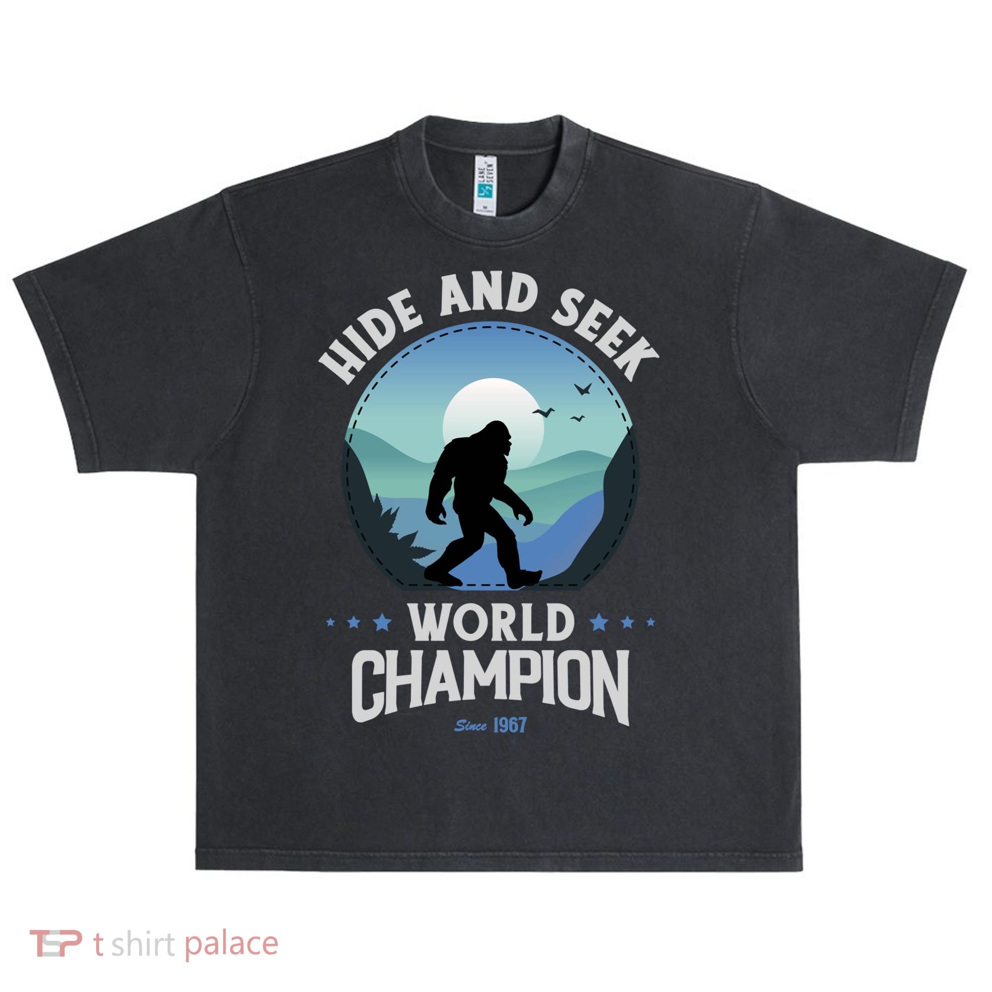 Bigfoogift Hide And Seek Bigfoot Hide And Seek Champion Cool Gift Urban Oversized Heavyweight T-Shirt