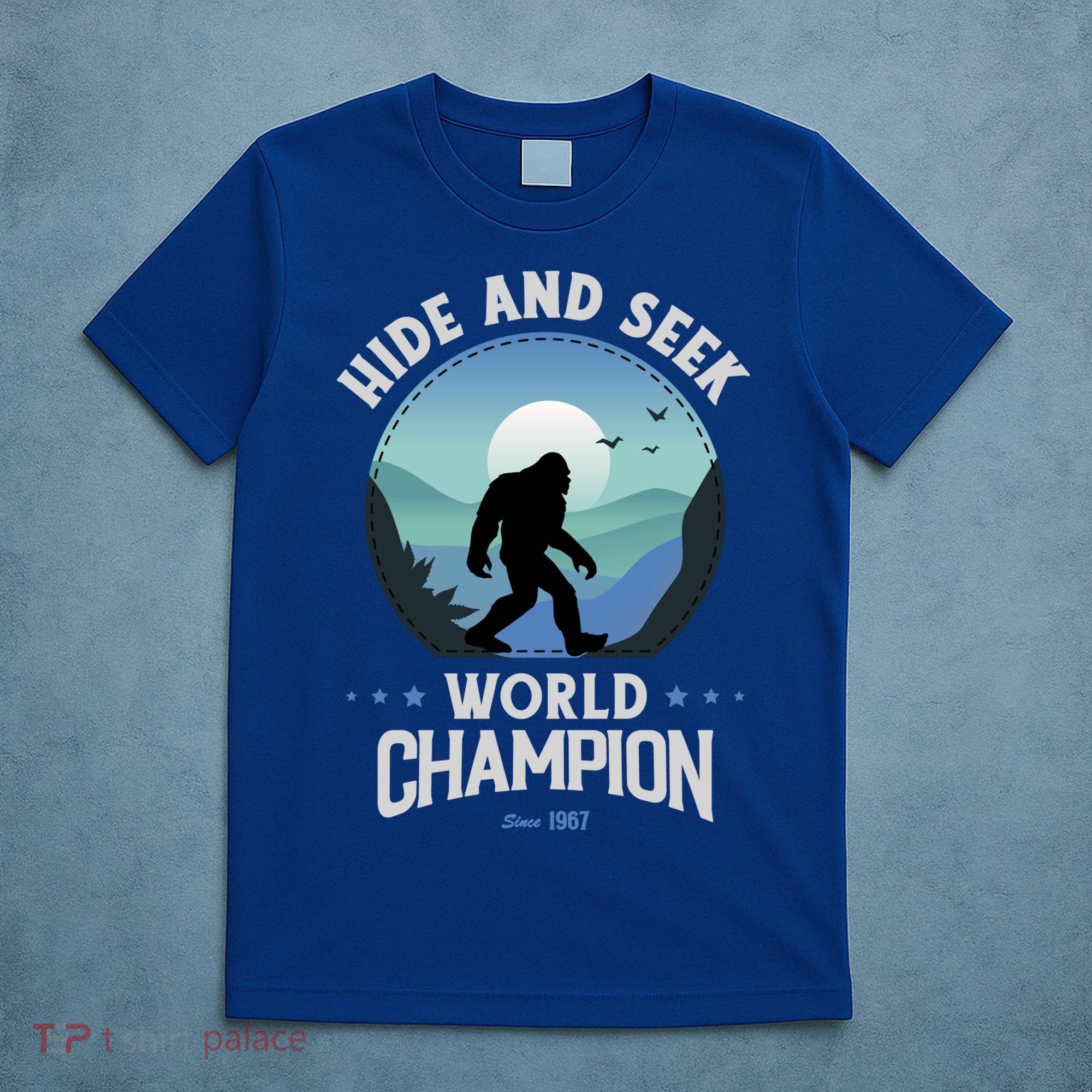 Bigfoogift Hide And Seek Bigfoot Hide And Seek Champion Cool Gift T-Shirt