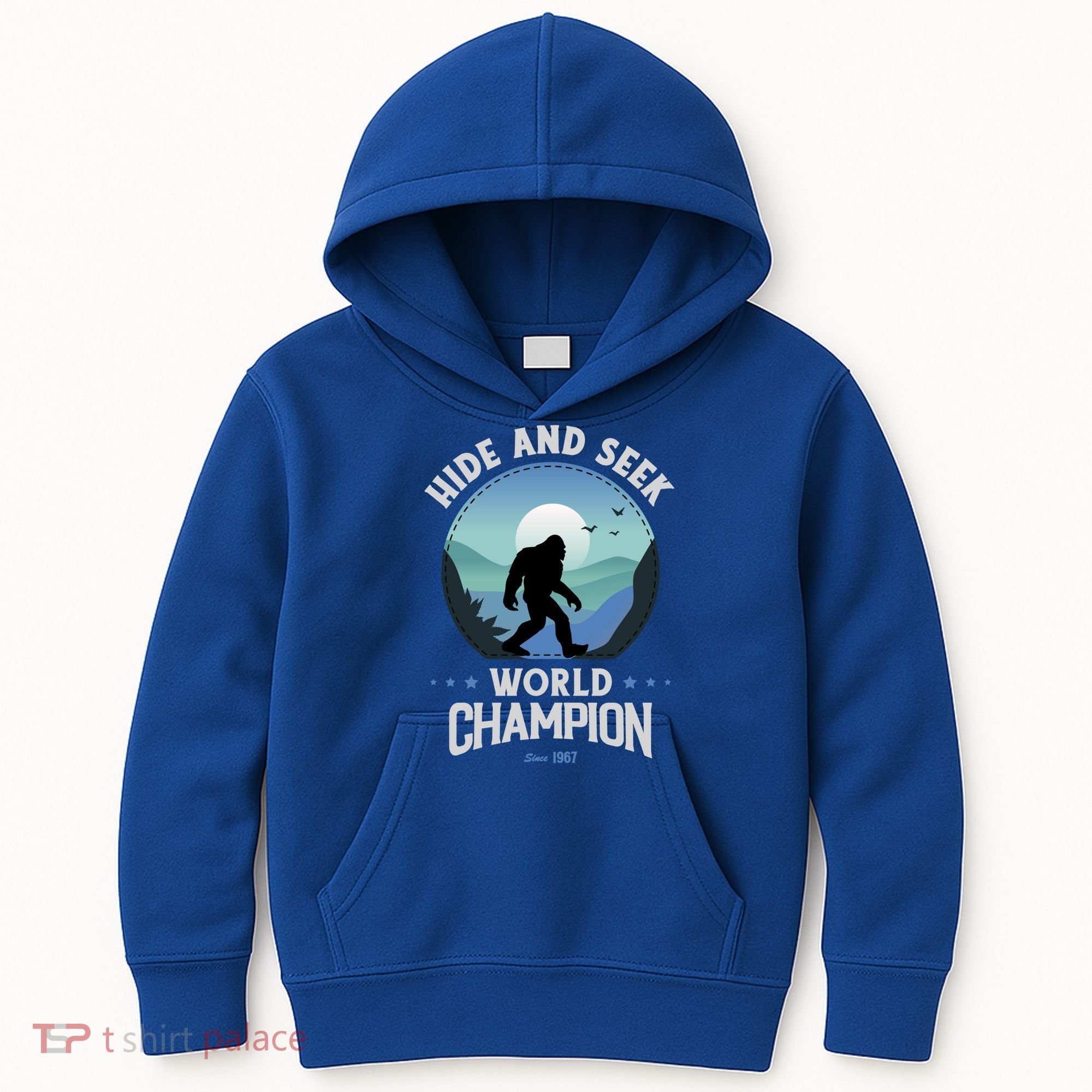 Bigfoogift Hide And Seek Bigfoot Hide And Seek Champion Cool Gift Kids Hoodie