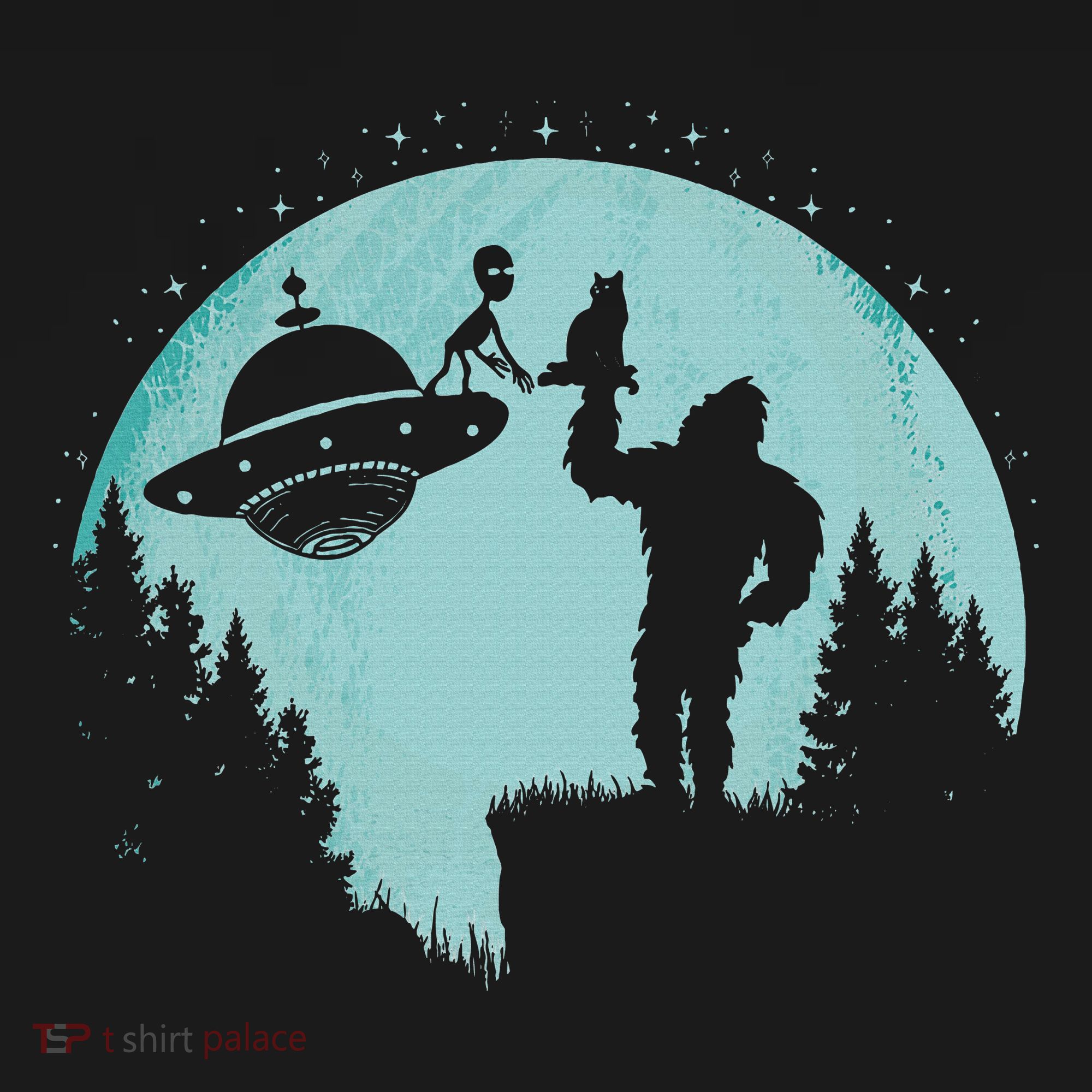 Bigfoot Holding A Cat Funny Alien Riding Ufo Sasquatch Cat Hoodie