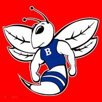 Bryant Hornets Santa Hat thumb 1