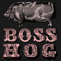 Boss Hog USA-Made Doggie Bandana thumb 2