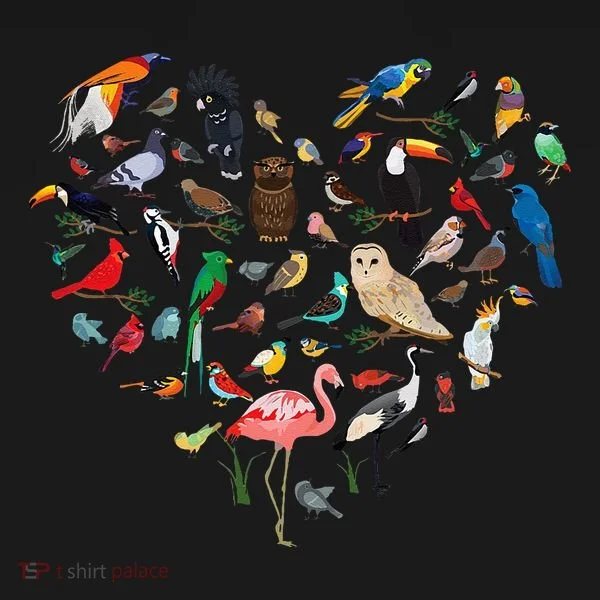 Bird Heart Birding BirdWatching Birder Bird Watcher Women's Hoodie