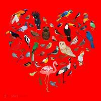 Bird Heart Birding BirdWatching Birder Bird Watcher Santa Hat thumb 1