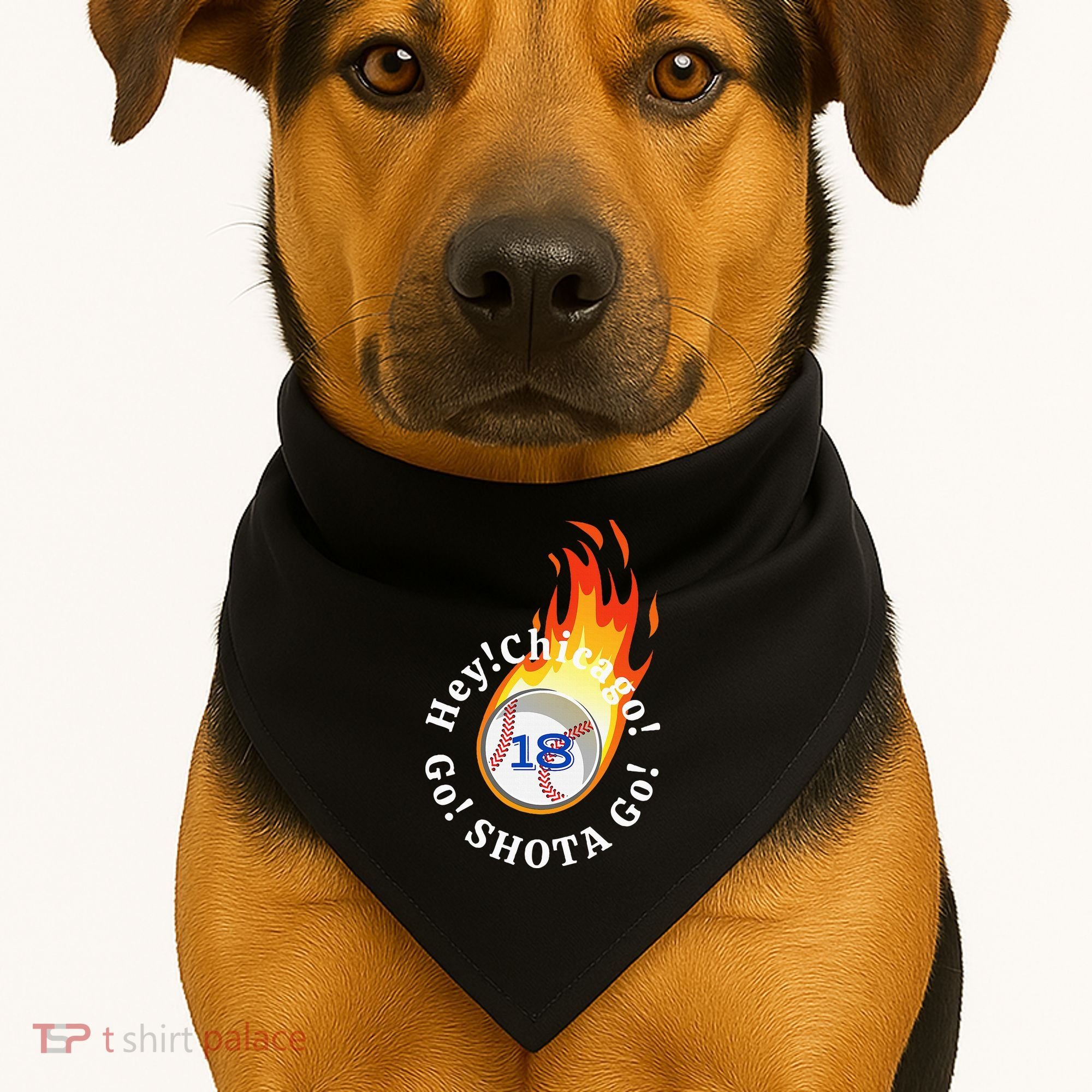 Baseball. Hey! Chicago!. Go! Shota Go! Imanaga USA-Made Doggie Bandana