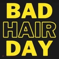 Bad Hair Day Toddler Hoodie thumb 2