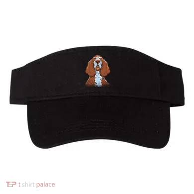 Visor