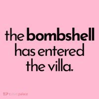 Bombshell Has Entered The Villa Funy Got A Text Chat Meme Coaster thumb 2