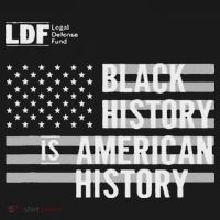Black History Is American History Ldf Doggie Tank thumb 4