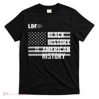 Black History Is American History Ldf T-Shirt thumb 0