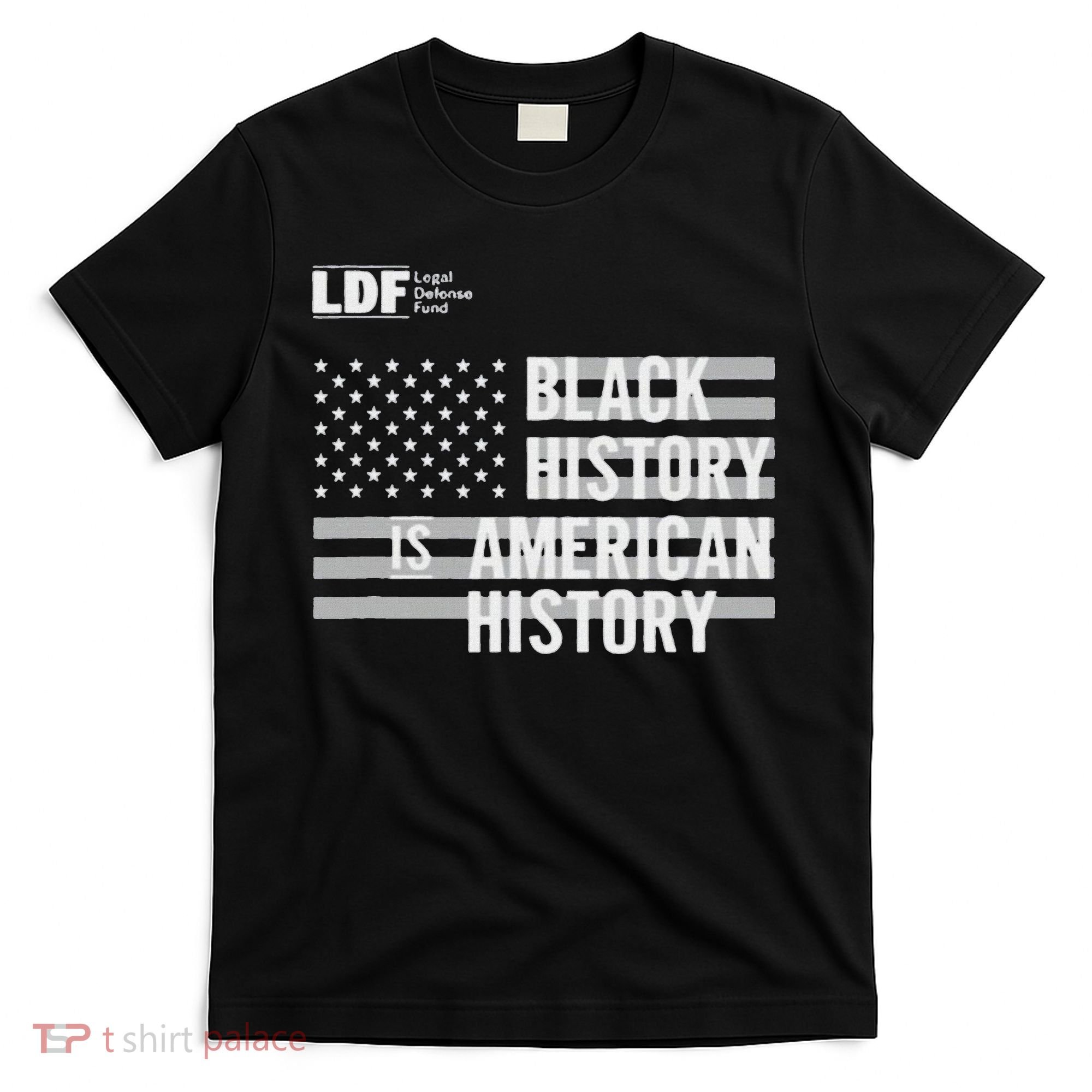 Black History Is American History Ldf T-Shirt