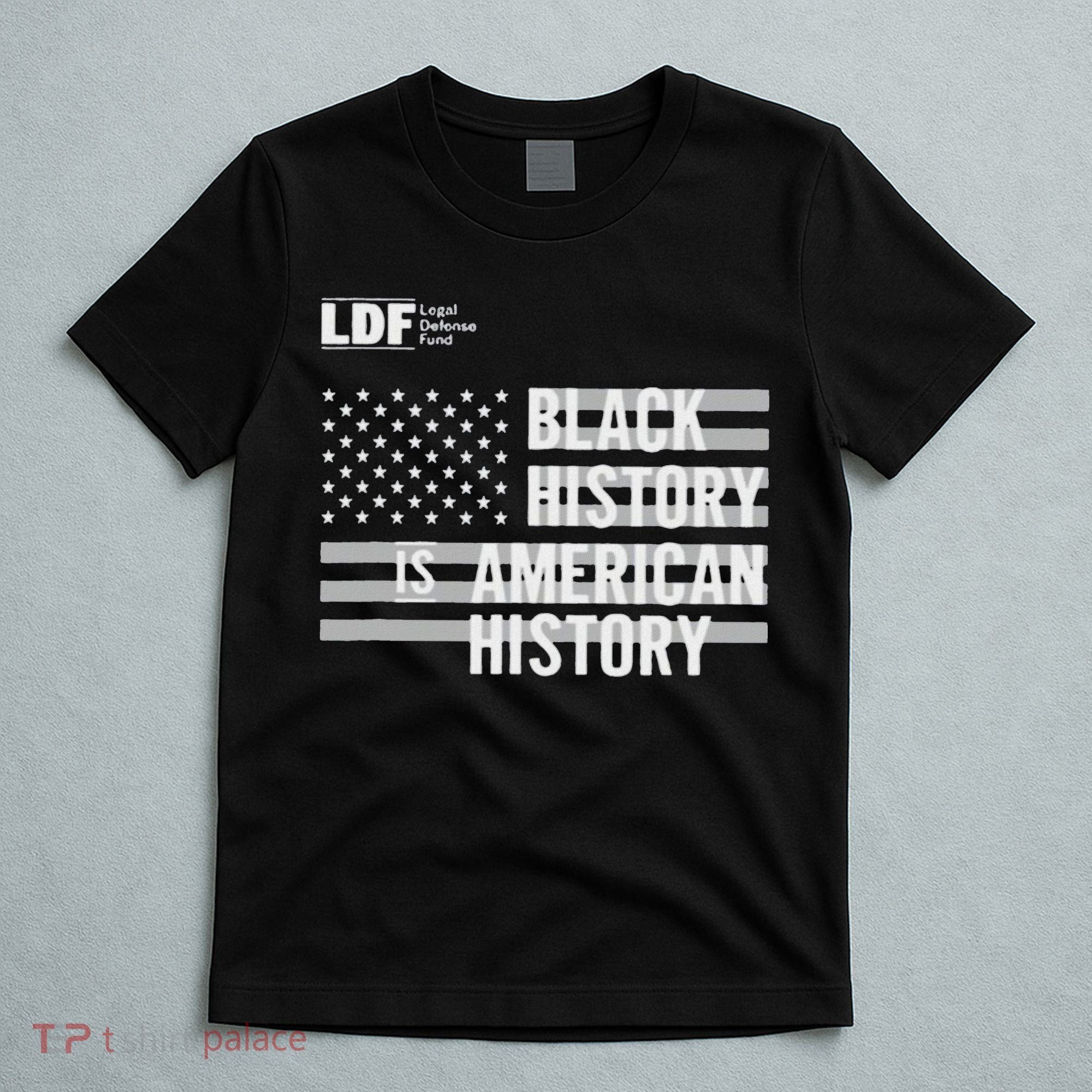 Black History Is American History Ldf T-Shirt