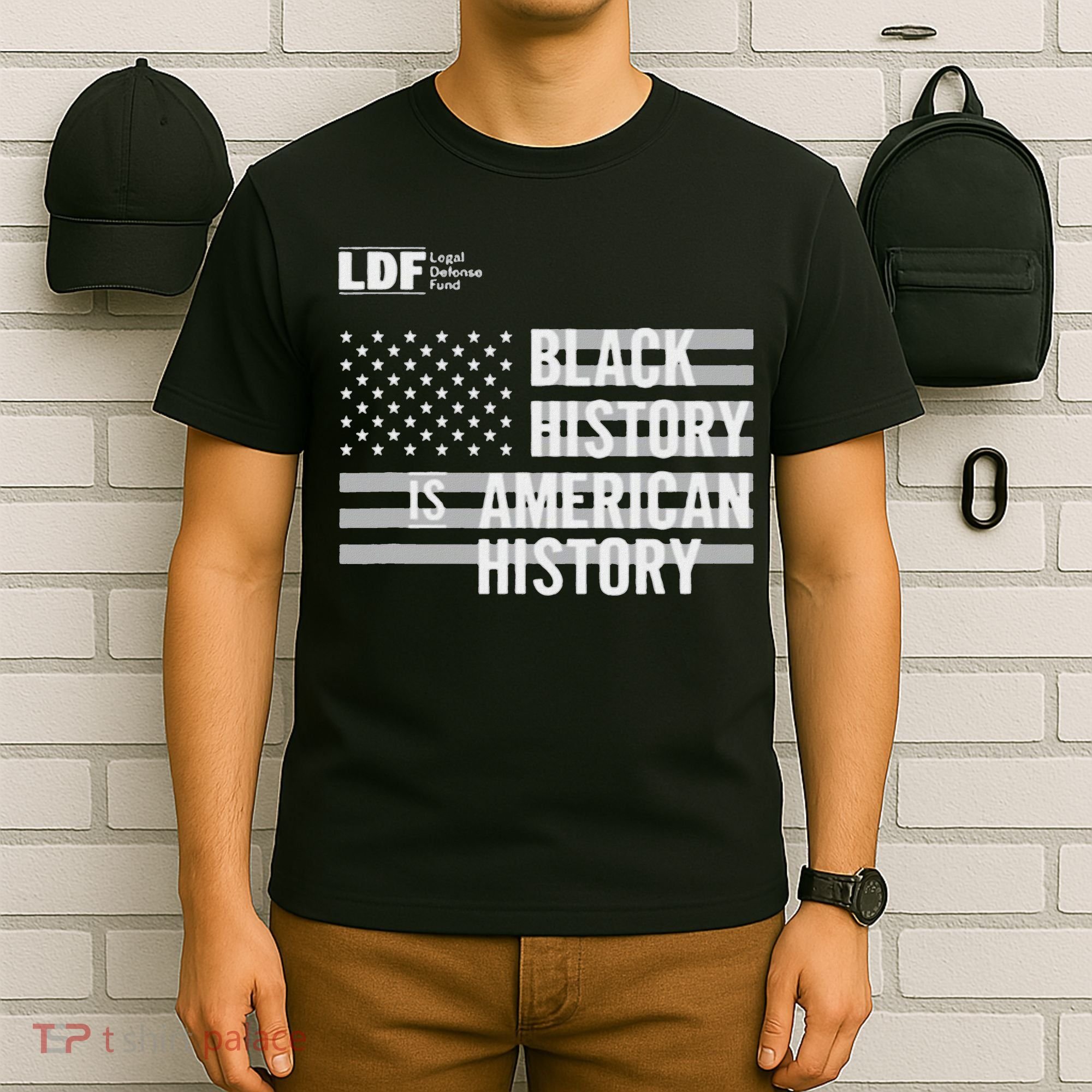 Black History Is American History Ldf T-Shirt
