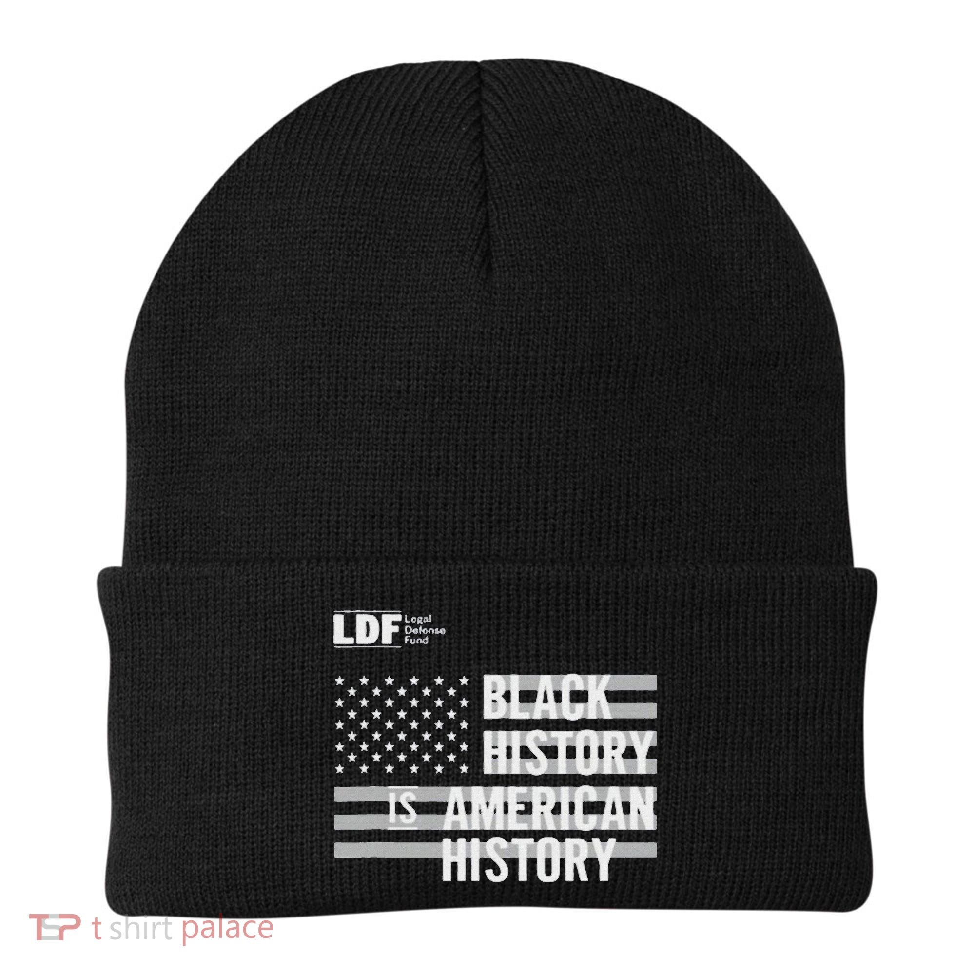 Black History Is American History Ldf Beanie