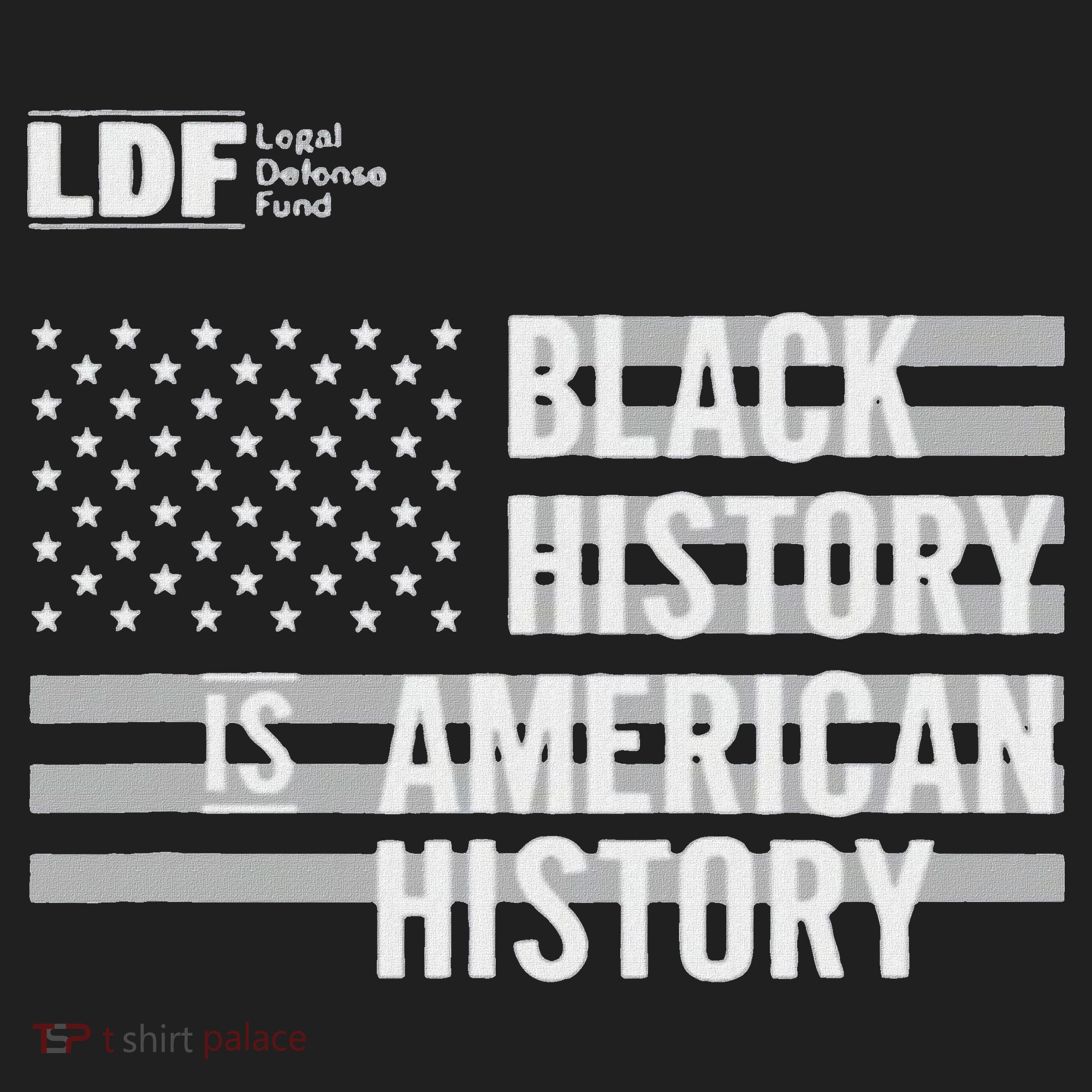 Black History Is American History Ldf Beanie