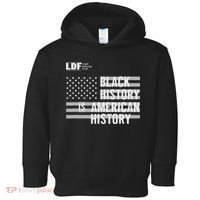 Black History Is American History Ldf Toddler Hoodie thumb 0