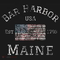 Bar Harbor Maine USA American Flag Established ME Vintage T-Shirt thumb 7