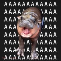 Baby Hippo Moo Deng Sweatshirt thumb 3