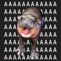 Baby Hippo Moo Deng Hat thumb 2