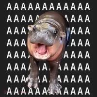 Baby Hippo Moo Deng Hat thumb 2