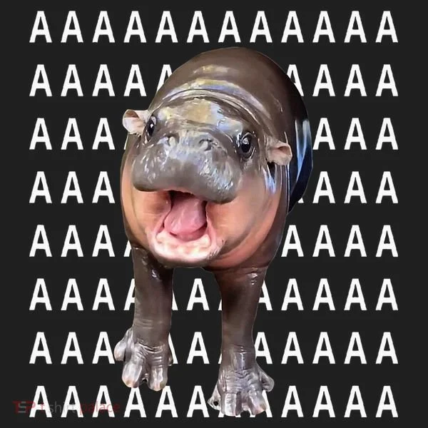 Baby Hippo Moo Deng Hat