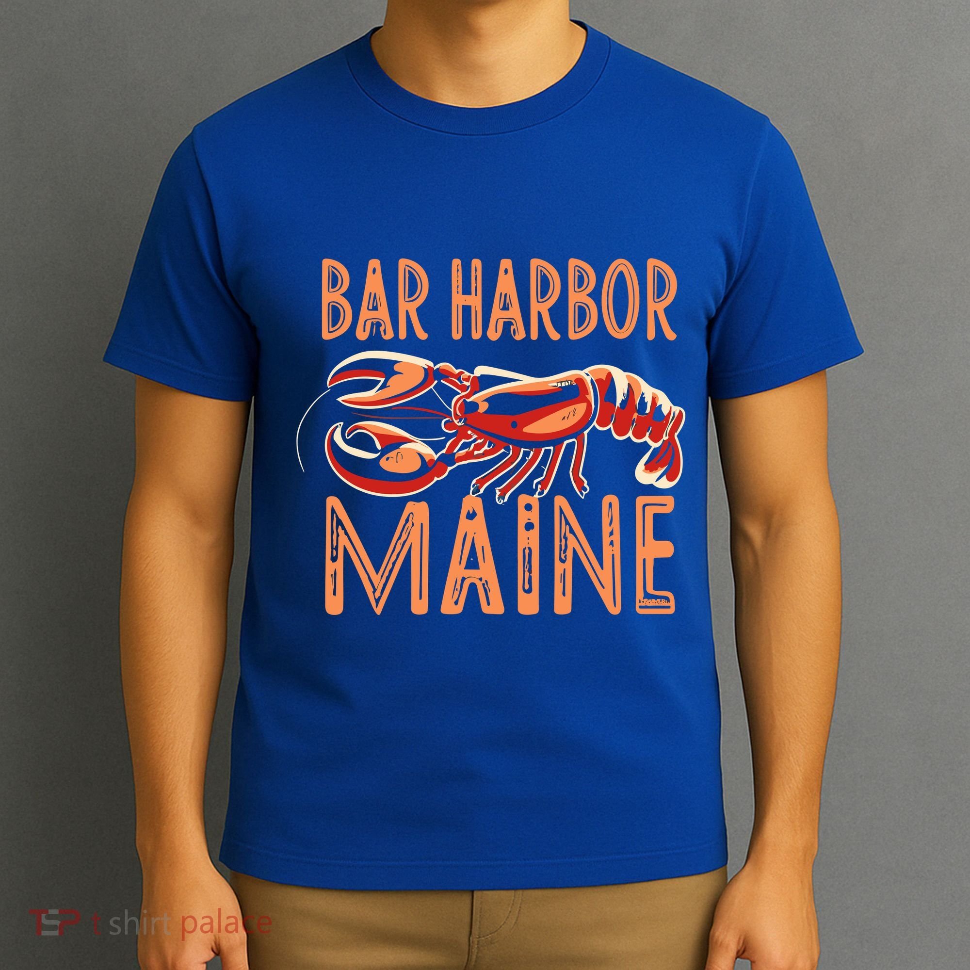Bar Harbor Maine Lobster Travel Acadia Vintage Gift T-Shirt