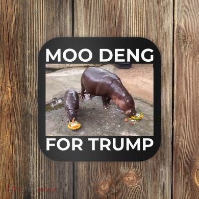 Baby Hippo Moo Deng Picks Trump President Coaster