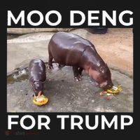 Baby Hippo Moo Deng Picks Trump President Ornament thumb 1
