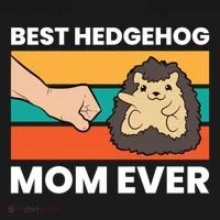 Best Hedgehog Mom Ever Love Hedgehogs Gift Women's Hoodie thumb 2