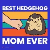 Best Hedgehog Mom Ever Love Hedgehogs Gift Women's T-Shirt thumb 6
