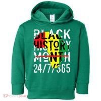 Black History Month 24/7/365 African Melanin Black Pride Toddler Hoodie thumb 0