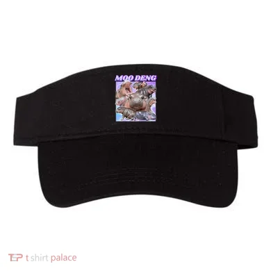 Visor