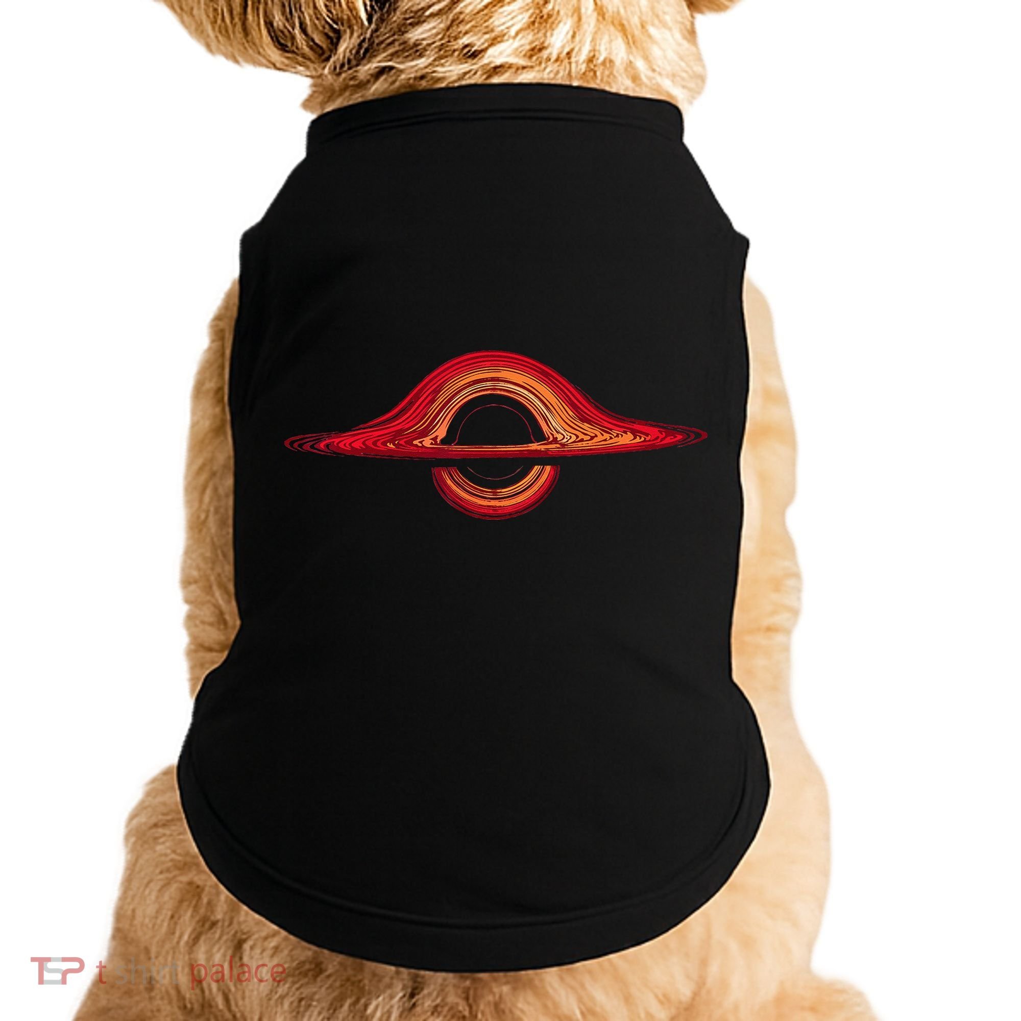 Black Hole Physics Universe Physics Astrophysicists Doggie Tank