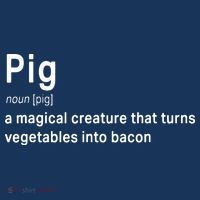 Best Hilarious Pig And Bacon Definition Funny Gift Sweatshirt thumb 3