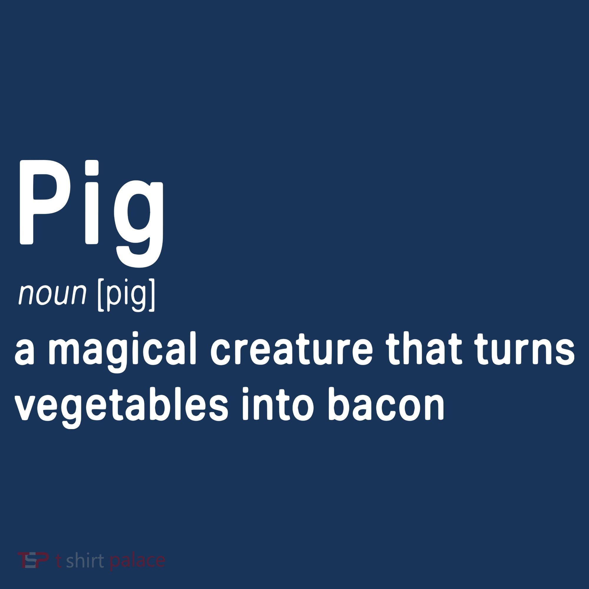 Best Hilarious Pig And Bacon Definition Funny Gift Women's Hoodie