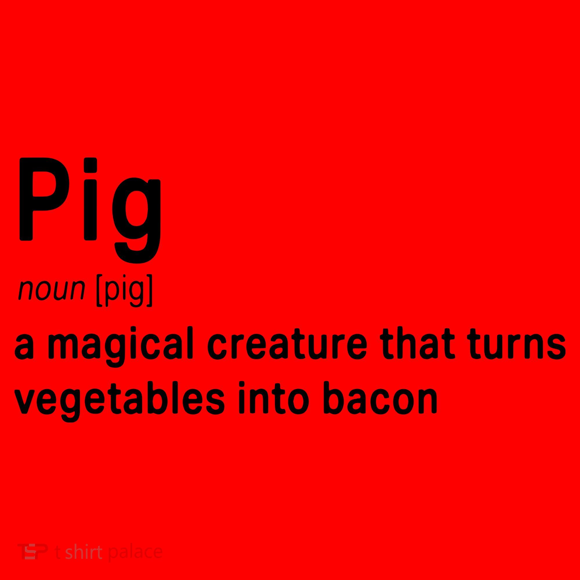 Best Hilarious Pig And Bacon Definition Funny Gift Santa Hat