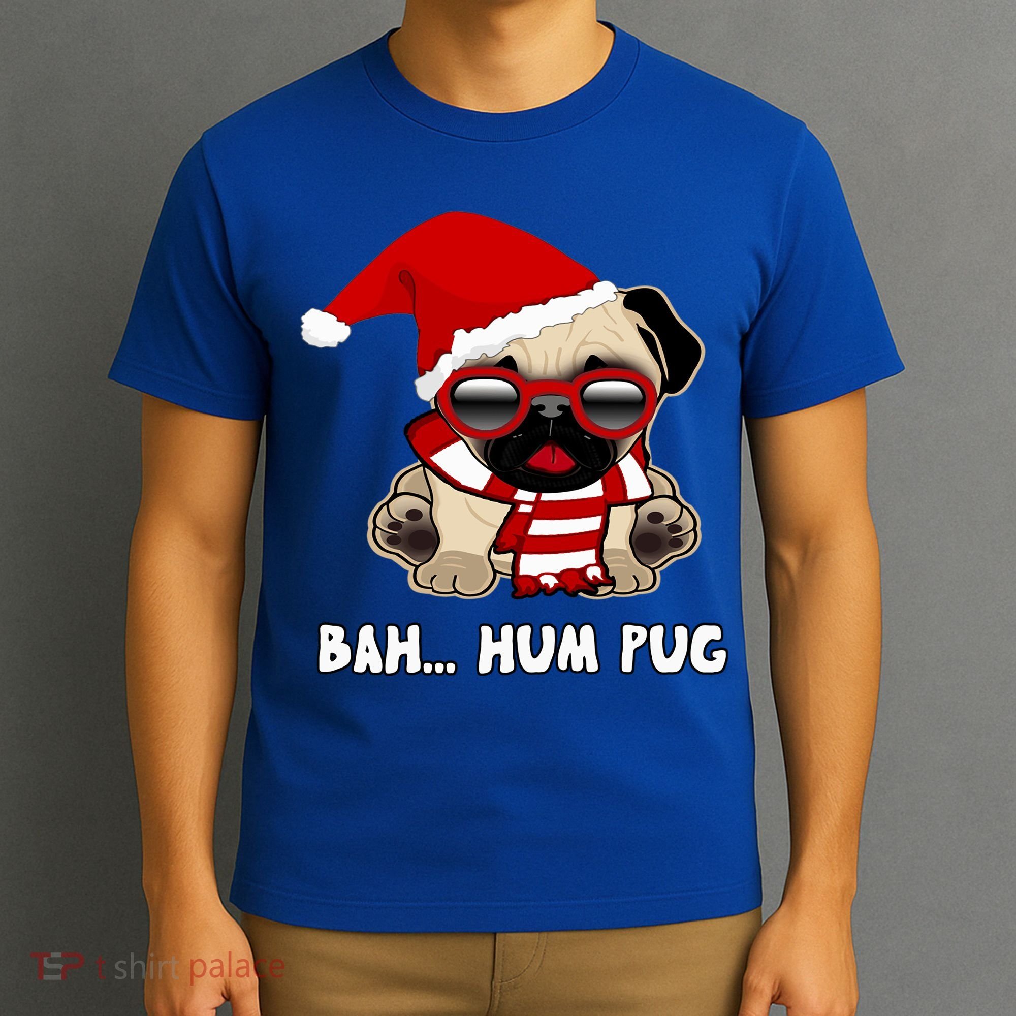 Bah Hum Pug Christmas Great Gift T-Shirt