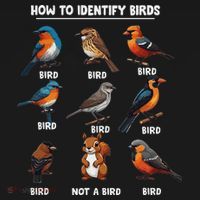 Bird How To Identify Birds Birds Lovers Watching Apron thumb 3