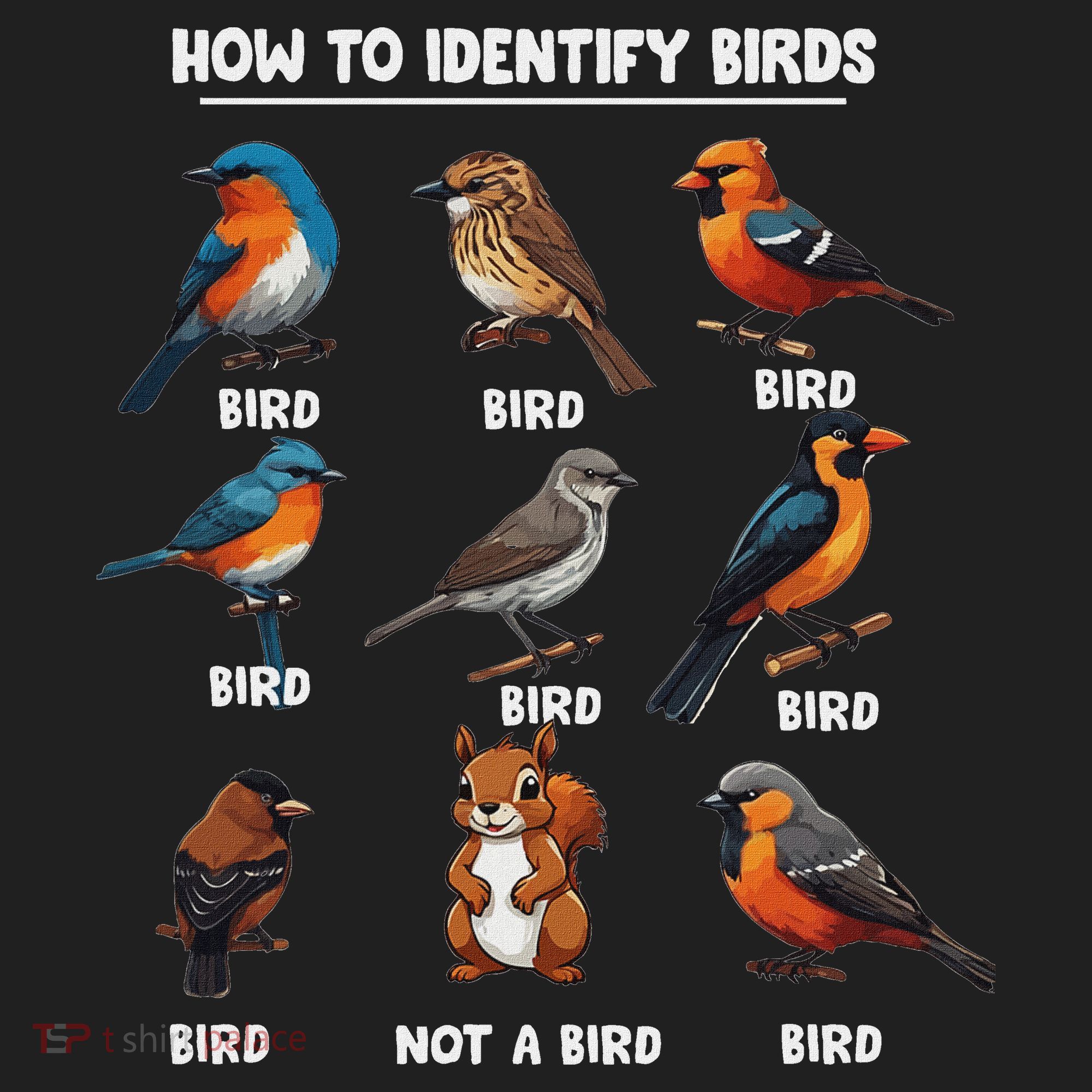 Bird How To Identify Birds Birds Lovers Watching Beanie